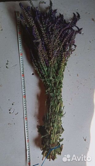 Лечебные травы