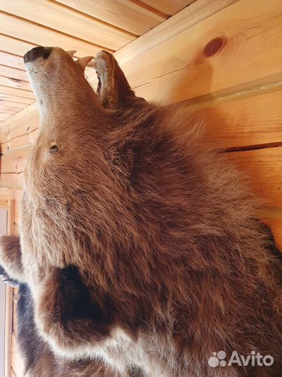 Шкура медведя имитация