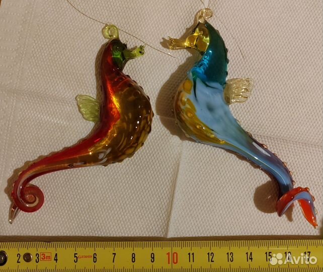 Рыбы, морские коньки