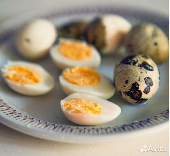 Мясо перепела, яйца