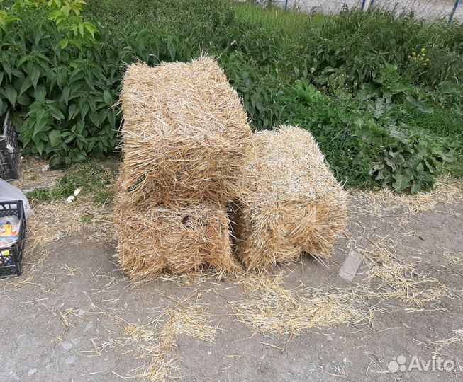 Корма для с/х животных: комбикорм,добавки,сено,сол