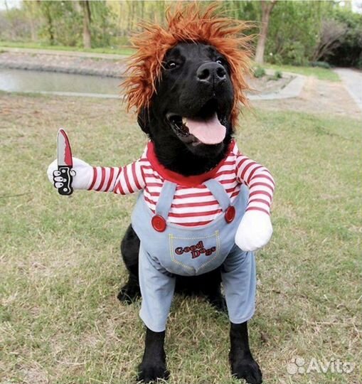 Костюм чаки для собак