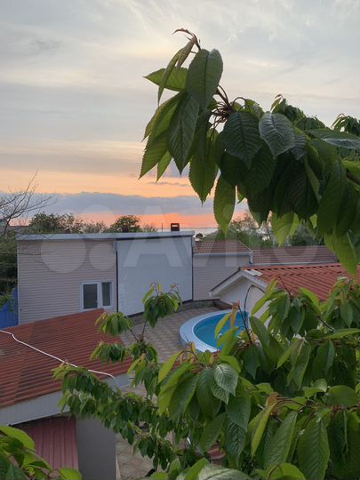 Комната 20 м², 1/2 эт.