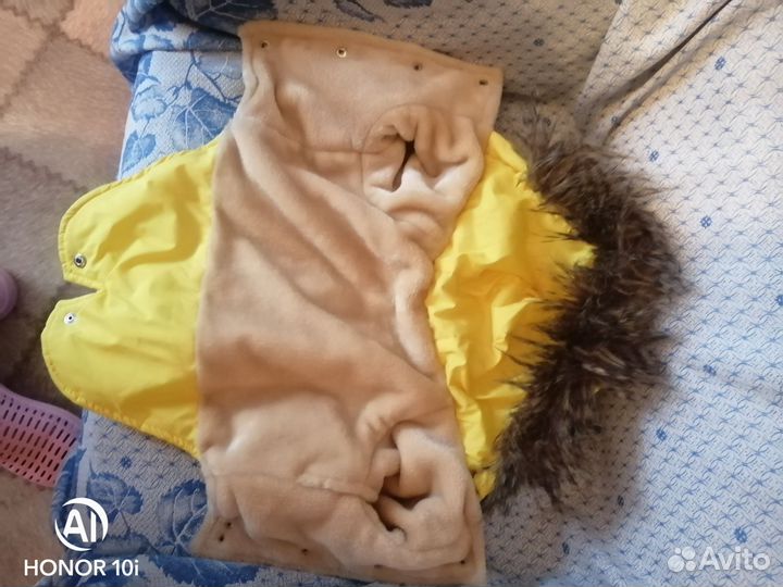 Одежда для собаки