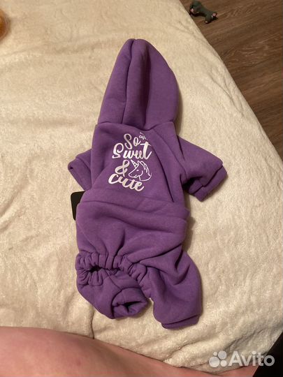 Костюм для собаки