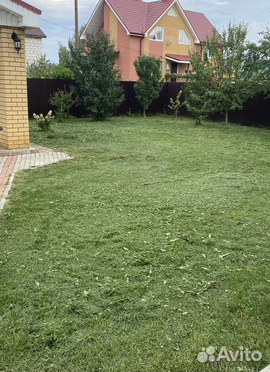 Покос травы триммером