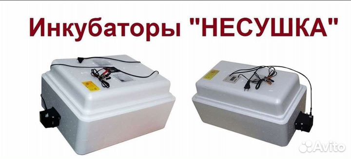 Инкубатор для яиц