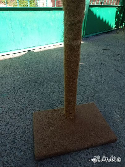 Ногти точка для кошек