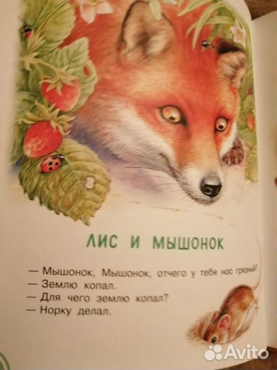 Детские книги сказки