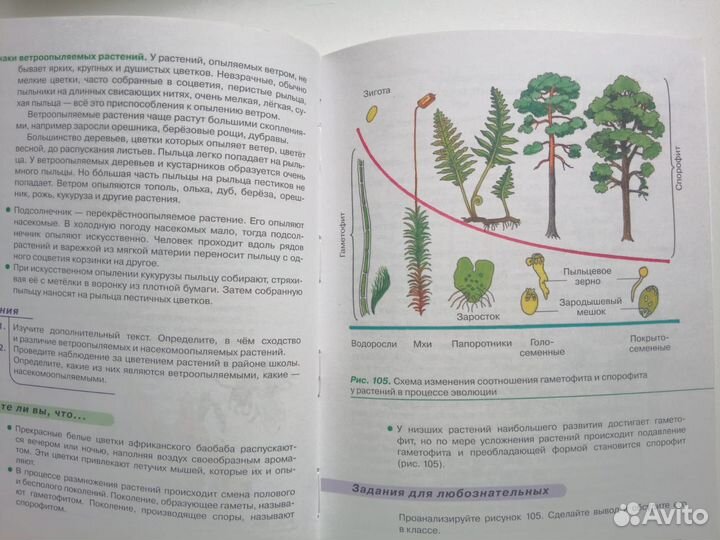 Учебник по биологии 6 класс В.В.Пасечник