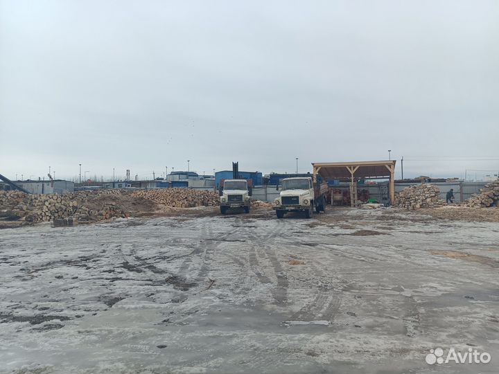 Дрова ясеневые от 3м3