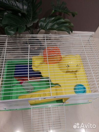 Клетка для хомяка