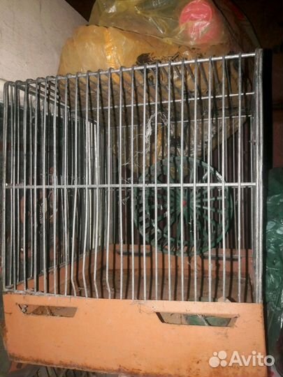 Б/у клетка для хомяка