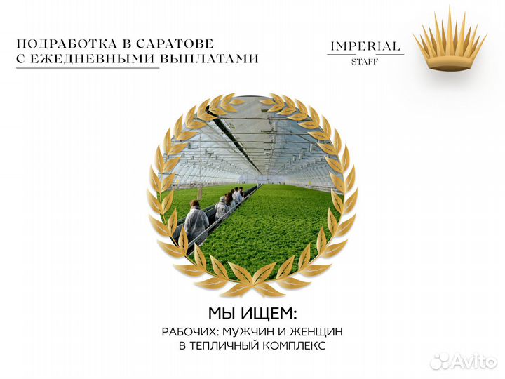 Рабочий Подработка В Тепличном Комплексе Без Опыта