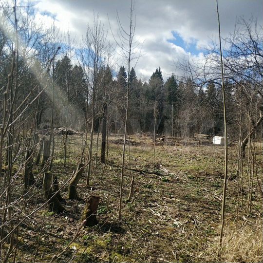 Участок 8 сот. (СНТ, ДНП)