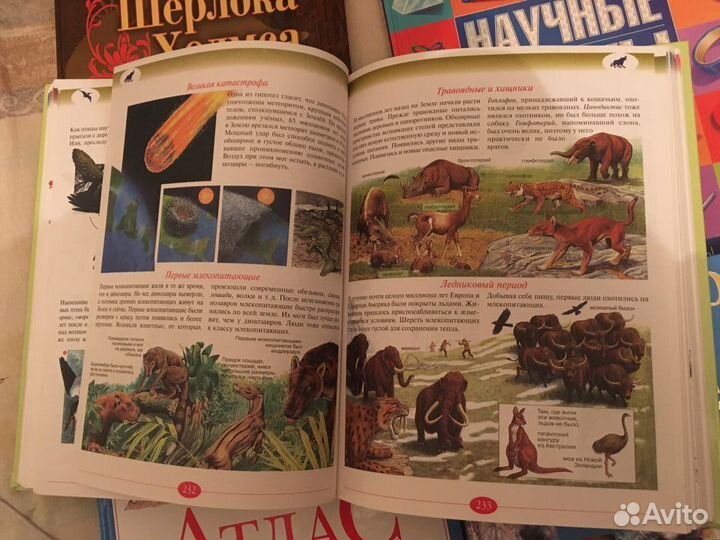 Книги для школьников. Энциклопедии