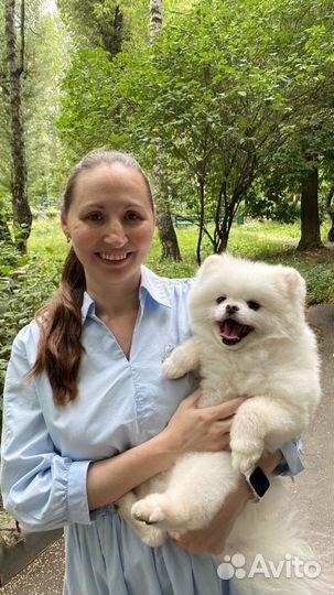 Подработка 2-4часа в день