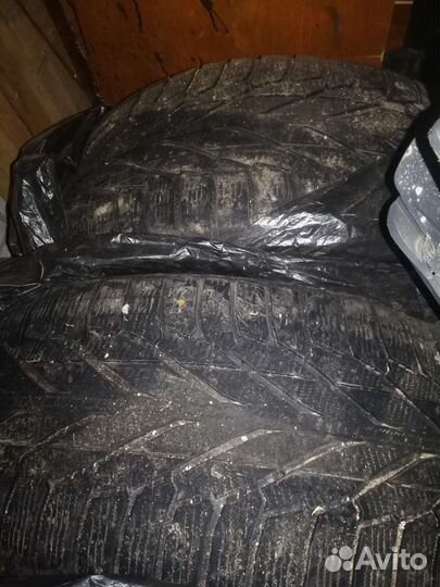 Nokian Tyres Hakkapeliitta R2 SUV 275/55 R19 115R