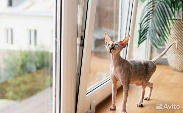 Пластиковые окна на балкон