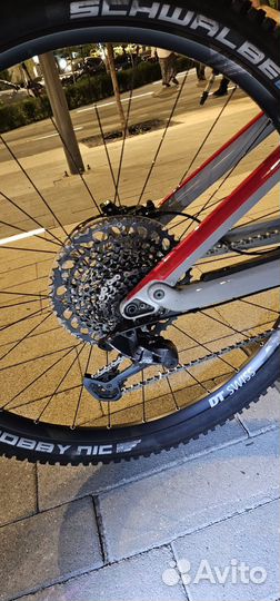 Canyon neuron 29 carbon