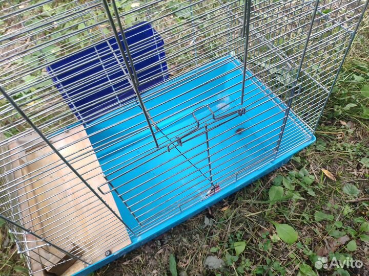 Большая клетка