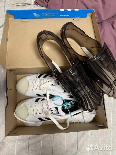 Adidas superstar bubble