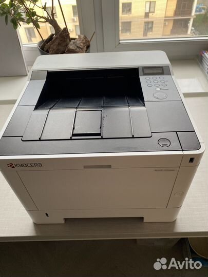 Принтер ч/б Kyocera Ecosys P2040dn