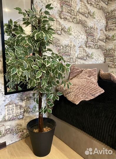 Бенджамина фикус 140см