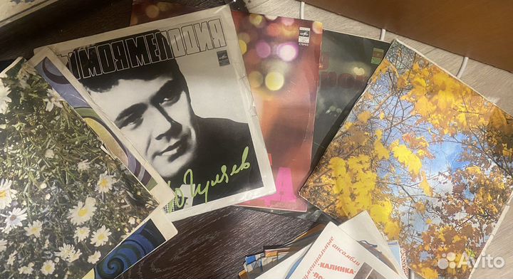 Виниловые пластинки