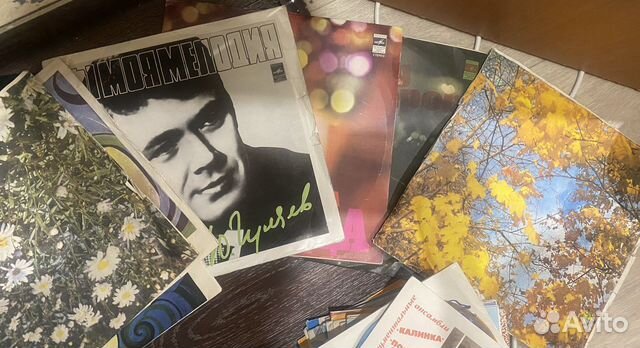Виниловые пластинки