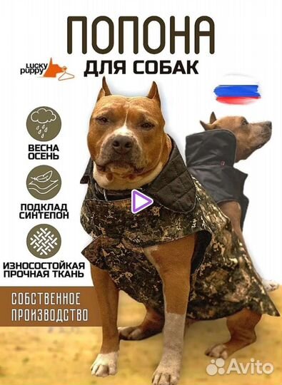 Попона для собак, куртка, комбинезон