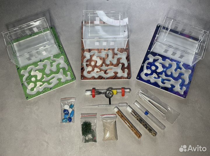 Муравьиная ферма новая с муравьями в комплекте