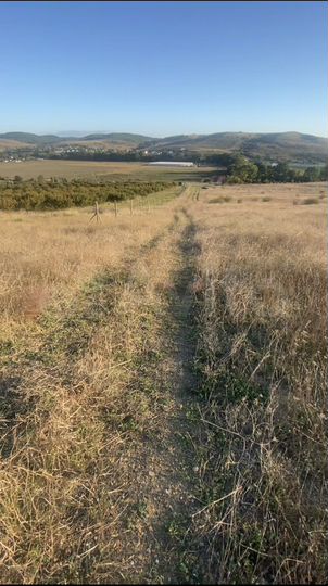 Участок 6 сот. (СНТ, ДНП)