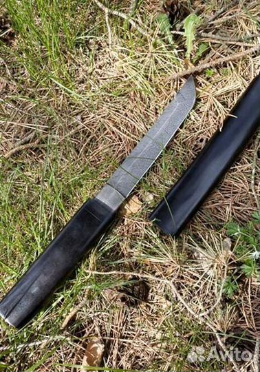 Танто Ширасайи