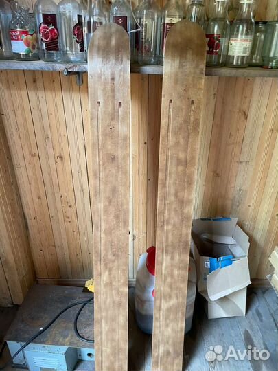 Лыжи охотничьи