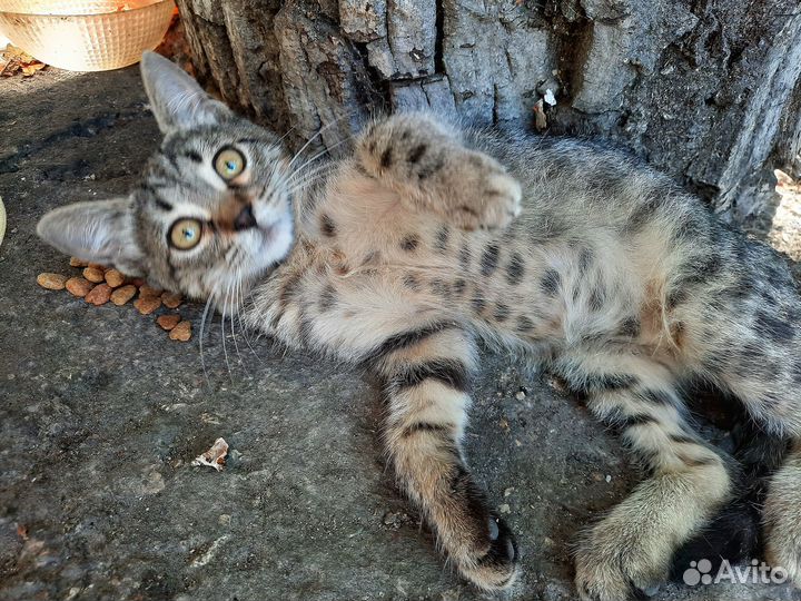 Заберите ребёнка домой