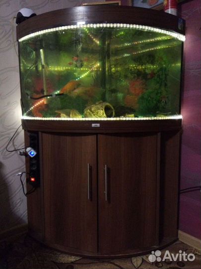 Аквариум и все для аквариума