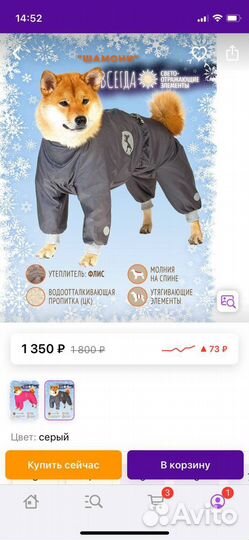 Костюм для собак