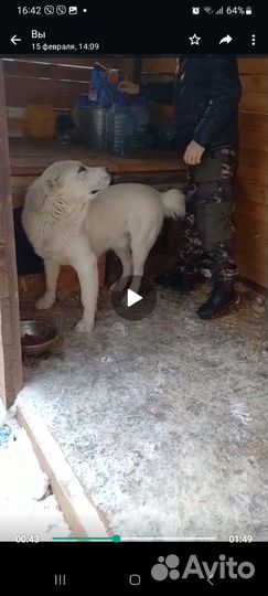 Кабель для вязки алабай