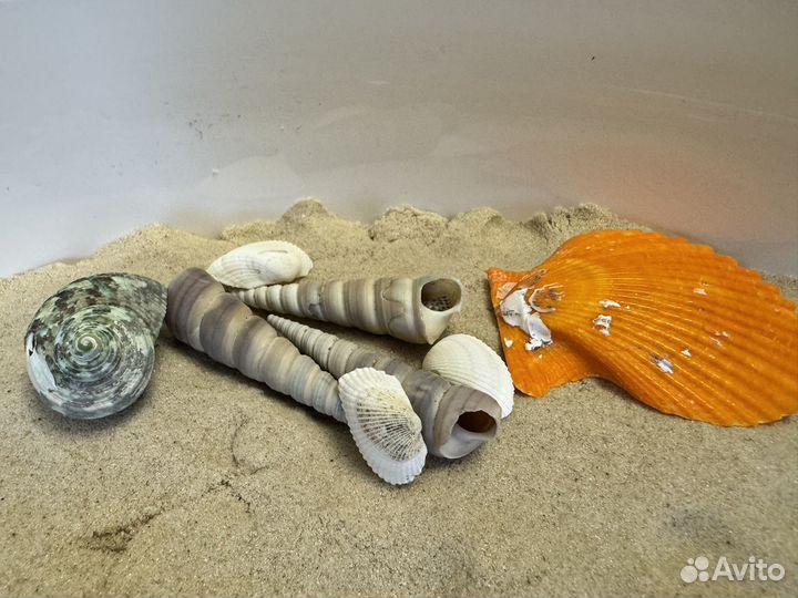 Сенсорная коробка 