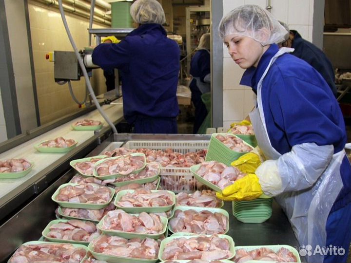 Упаковщик /вахта г Невинномысск