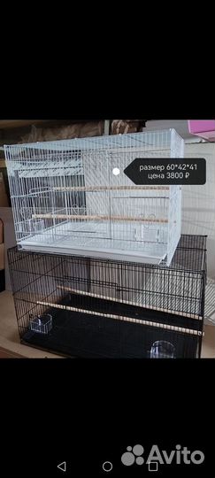 Клетка от маленькой до большой