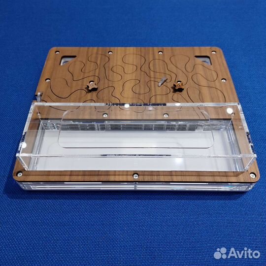 Новая Муравьиная ферма AntPlanet Американский орех