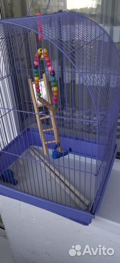 Клетка для попугая