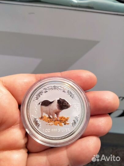 Монета год Свиньи серебро