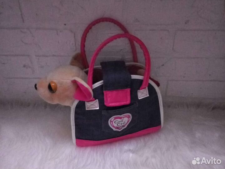 Чичилав чихуахуа