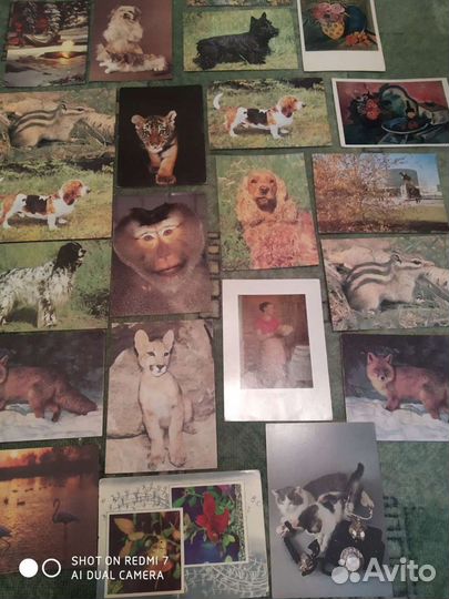 Открытки СССР