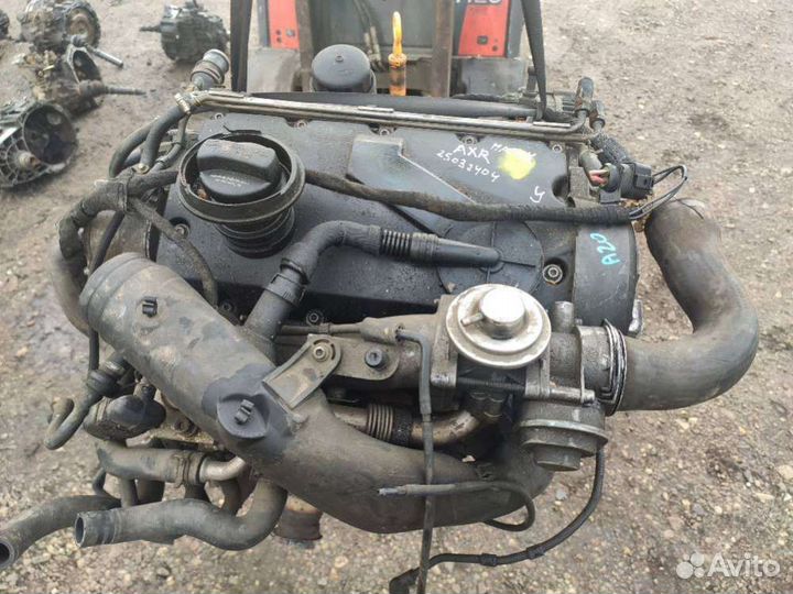 Axr Двигатель Volkswagen Golf 4 2002 1.9 дизель