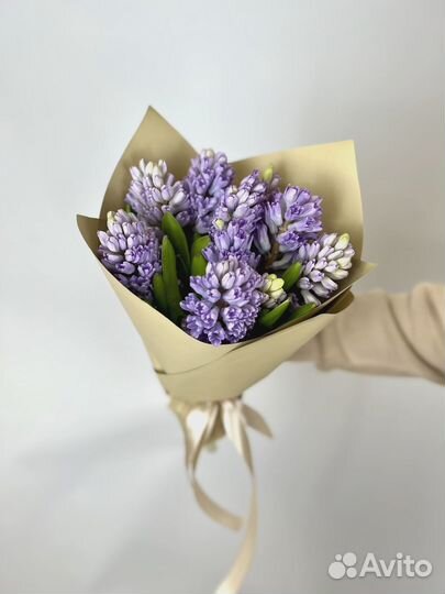Букет из 9 Гиацинтов в матовой бумаге