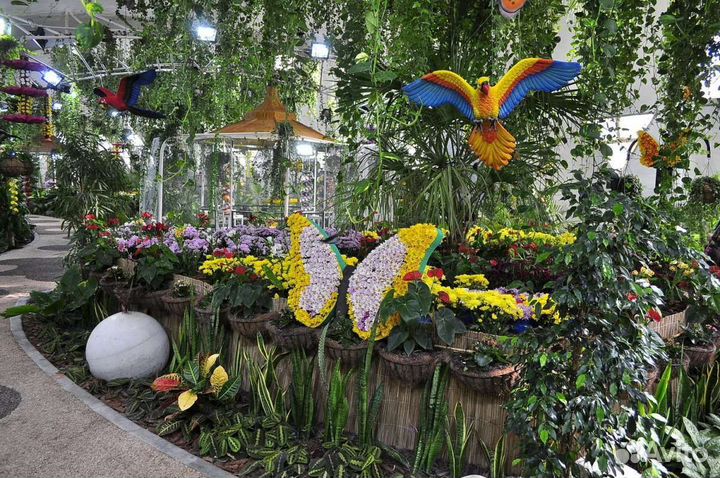 Франшиза Парка живых тропических бабочек Флай-Флай